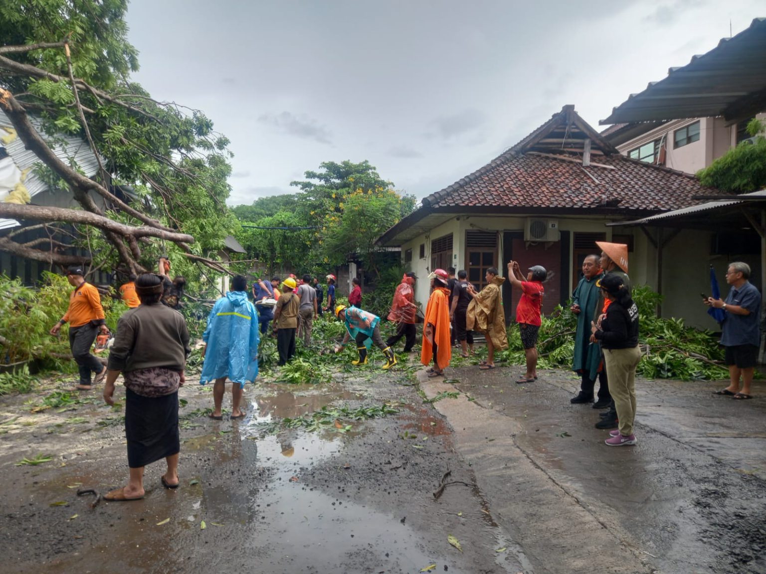 Babinsa Sumerta Kelod Bersama Warga Turut Serta Dalam Membersihkan Pohon Tumbang
