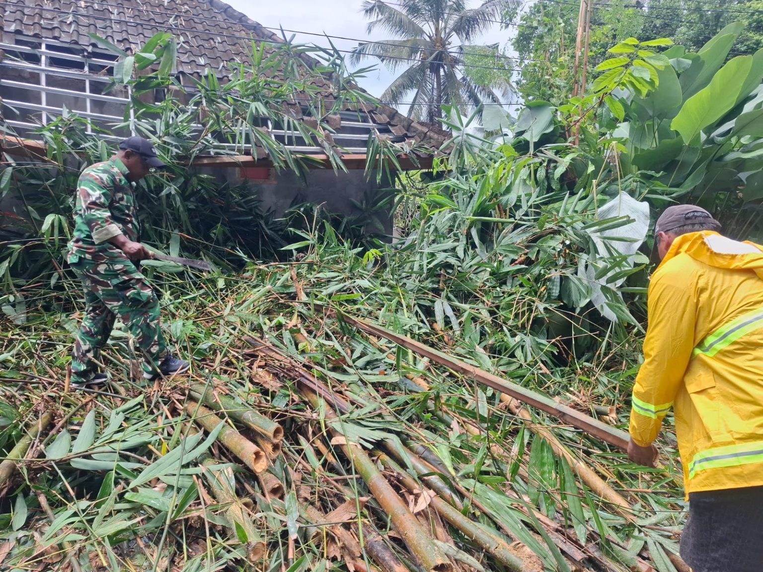 Akses Jalan Terhalang Pohon Bambu Tumbang: Babinsa Serda Fredik Sigap Bantu Warga Buka Jalan