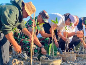 Gerakan Hijau di Pantai Benoa: Ribuan Peserta Bersama Kodim 1611/Badung Tanam Mangrove, Lindungi Bali dari Abrasi