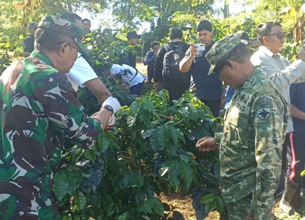 Pabung Kodim 1611/Badung: Penanaman Demplot dan Kopi Bukti Komitmen Bersama Majukan Sektor Pertanian