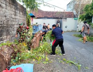 Cegah Genangan dan Sarang Nyamuk, Babinsa & Warga Bersihkan Parit Secara Menyeluruh