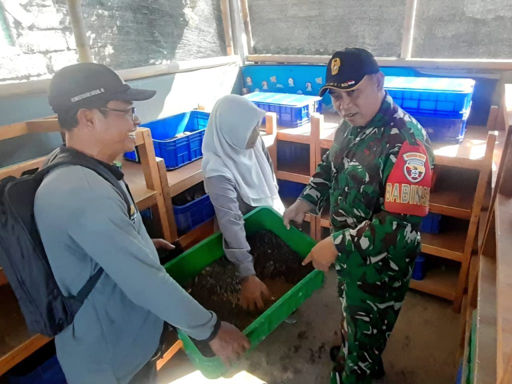 Babinsa: Rumah Maggot, Langkah Inovatif Kelola Sampah Organik Berkonsep Ekonomi Sirkular