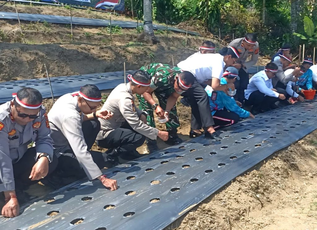 Danramil Petang: Kehadiran TNI Wujud Dukungan Nyata Terhadap Ketahanan Pangan Masyarakat