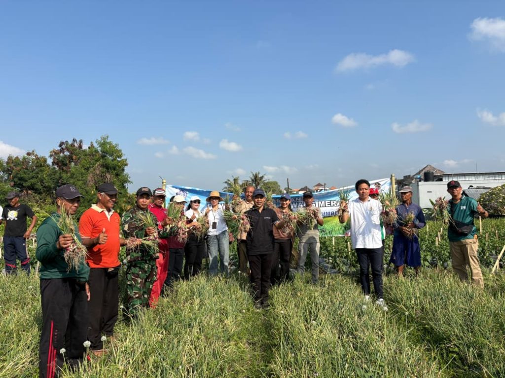 Dorong Ketahanan Pangan: Babinsa Serka Gusti Astina Ikut Panen Bawang Merah di Desa Tumbakbayuh